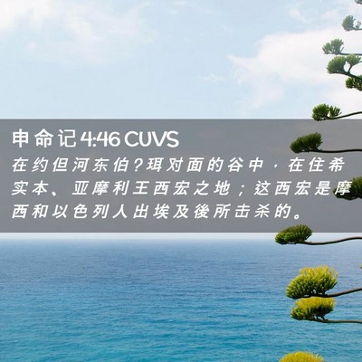 Picture 02 - 申 命 记 4:46 CUVS - 在 约 但 河 东 伯 ? 珥 对 面 的 谷 中 - Bible Verse Picture
