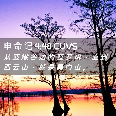 Picture 02 - 申 命 记 4:48 CUVS - 从 亚 嫩 谷 边 的 亚 罗 珥 ， 直 到 - Bible Verse Picture