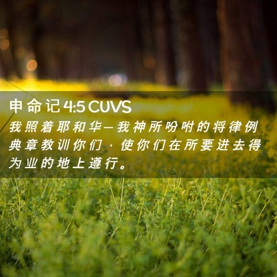 Picture 02 - 申 命 记 4:5 CUVS - 我 照 着 耶 和 华 ─ 我 神 所 吩 咐 - Bible Verse Picture
