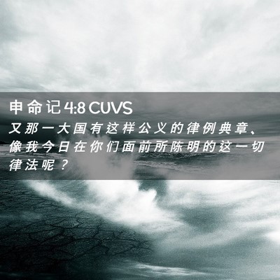 Picture 02 - 申 命 记 4:8 CUVS - 又 那 一 大 国 有 这 样 公 义 的 律 - Bible Verse Picture