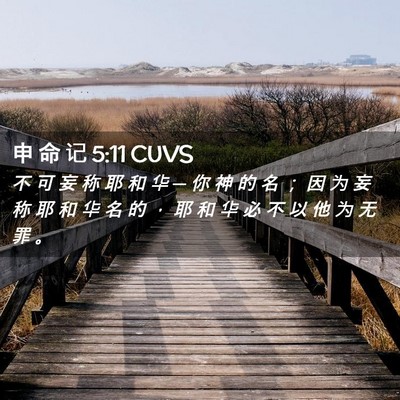 Picture 02 - 申 命 记 5:11 CUVS - 不 可 妄 称 耶 和 华 ─ 你 神 的 名 - Bible Verse Picture