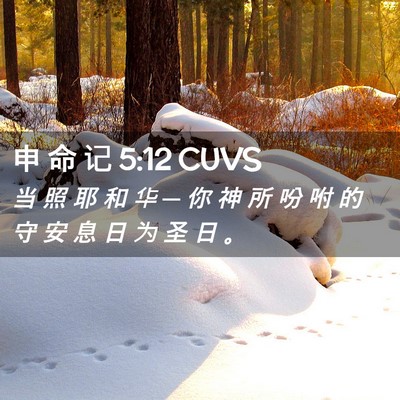 Picture 02 - 申 命 记 5:12 CUVS - 当 照 耶 和 华 ─ 你 神 所 吩 咐 的 - Bible Verse Picture
