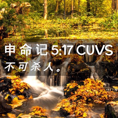 Picture 02 - 申 命 记 5:17 CUVS - 不 可 杀 人 - Bible Verse Picture