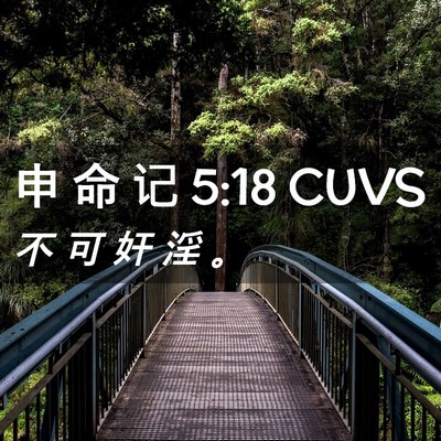 Picture 02 - 申 命 记 5:18 CUVS - 不 可 奸 淫 - Bible Verse Picture