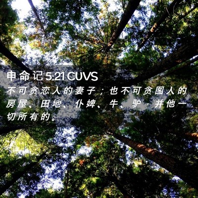 Picture 02 - 申 命 记 5:21 CUVS - 不 可 贪 恋 人 的 妻 子 ； 也 不 可 - Bible Verse Picture