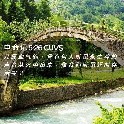 Picture 02 - 申 命 记 5:26 CUVS - 凡 属 血 气 的 ， 曾 有 何 人 听 见 - Bible Verse Picture