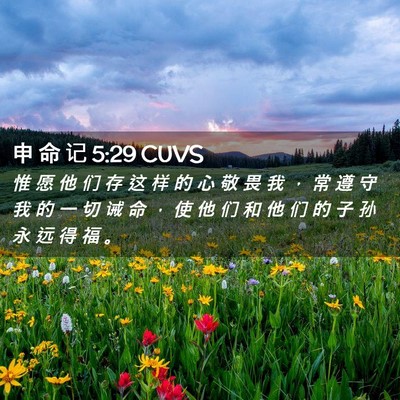 Picture 02 - 申 命 记 5:29 CUVS - 惟 愿 他 们 存 这 样 的 心 敬 畏 我 - Bible Verse Picture