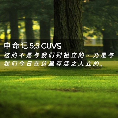 Picture 02 - 申 命 记 5:3 CUVS - 这 约 不 是 与 我 们 列 祖 立 的 ， - Bible Verse Picture