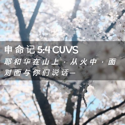 Picture 02 - 申 命 记 5:4 CUVS - 耶 和 华 在 山 上 ， 从 火 中 ， 面 - Bible Verse Picture