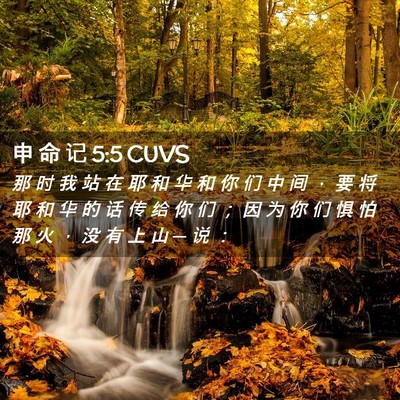 Picture 02 - 申 命 记 5:5 CUVS - 那 时 我 站 在 耶 和 华 和 你 们 中 - Bible Verse Picture