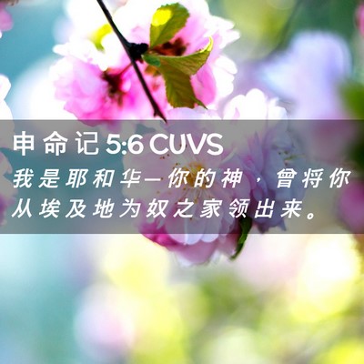 Picture 02 - 申 命 记 5:6 CUVS - 我 是 耶 和 华 ─ 你 的 神 ， 曾 将 - Bible Verse Picture