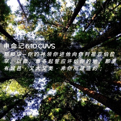 Picture 02 - 申 命 记 6:10 CUVS - 耶 和 华 ─ 你 的 神 领 你 进 他 向 - Bible Verse Picture