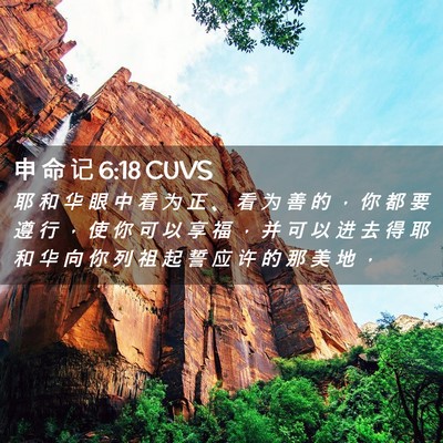Picture 02 - 申 命 记 6:18 CUVS - 耶 和 华 眼 中 看 为 正 、 看 为 善 - Bible Verse Picture