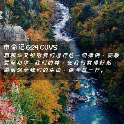 Picture 02 - 申 命 记 6:24 CUVS - 耶 和 华 又 吩 咐 我 们 遵 行 这 一 - Bible Verse Picture