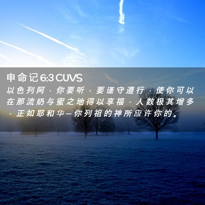 Picture 02 - 申 命 记 6:3 CUVS - 以 色 列 阿 ， 你 要 听 ， 要 谨 守 - Bible Verse Picture