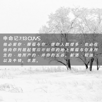 Picture 02 - 申 命 记 7:13 CUVS - 他 必 爱 你 ， 赐 福 与 你 ， 使 你 - Bible Verse Picture