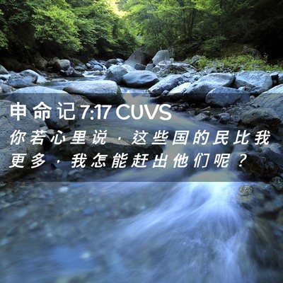 Picture 02 - 申 命 记 7:17 CUVS - 你 若 心 里 说 ， 这 些 国 的 民 比 - Bible Verse Picture