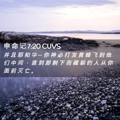 Picture 02 - 申 命 记 7:20 CUVS - 并 且 耶 和 华 ─ 你 神 必 打 发 黄 - Bible Verse Picture