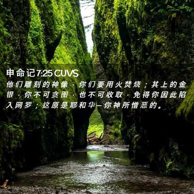 Picture 02 - 申 命 记 7:25 CUVS - 他 们 雕 刻 的 神 像 ， 你 们 要 用 - Bible Verse Picture