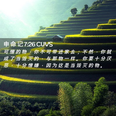 Picture 02 - 申 命 记 7:26 CUVS - 可 憎 的 物 ， 你 不 可 带 进 家 去 - Bible Verse Picture