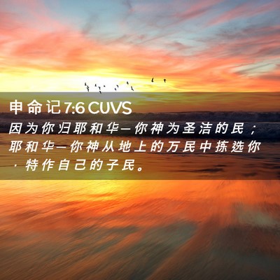 Picture 02 - 申 命 记 7:6 CUVS - 因 为 你 归 耶 和 华 ─ 你 神 为 圣 - Bible Verse Picture