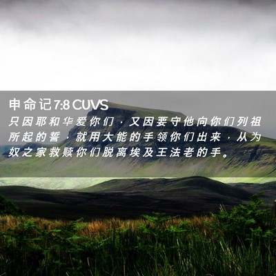 Picture 02 - 申 命 记 7:8 CUVS - 只 因 耶 和 华 爱 你 们 ， 又 因 要 - Bible Verse Picture