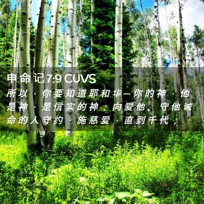 Picture 02 - 申 命 记 7:9 CUVS - 所 以 ， 你 要 知 道 耶 和 华 ─ 你 - Bible Verse Picture