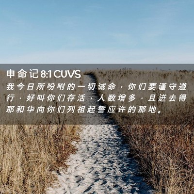 Picture 02 - 申 命 记 8:1 CUVS - 我 今 日 所 吩 咐 的 一 切 诫 命 ， - Bible Verse Picture