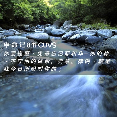 Picture 02 - 申 命 记 8:11 CUVS - 你 要 谨 慎 ， 免 得 忘 记 耶 和 华 - Bible Verse Picture
