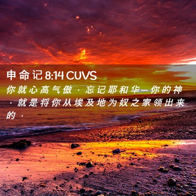 Picture 02 - 申 命 记 8:14 CUVS - 你 就 心 高 气 傲 ， 忘 记 耶 和 华 - Bible Verse Picture