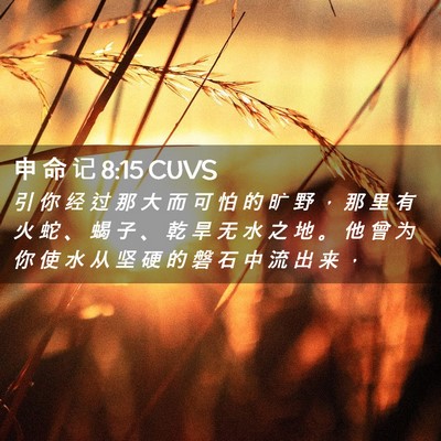 Picture 02 - 申 命 记 8:15 CUVS - 引 你 经 过 那 大 而 可 怕 的 旷 野 - Bible Verse Picture
