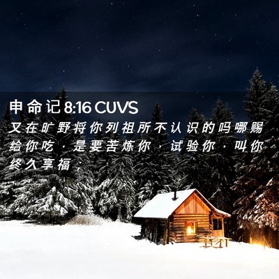 Picture 02 - 申 命 记 8:16 CUVS - 又 在 旷 野 将 你 列 祖 所 不 认 识 - Bible Verse Picture