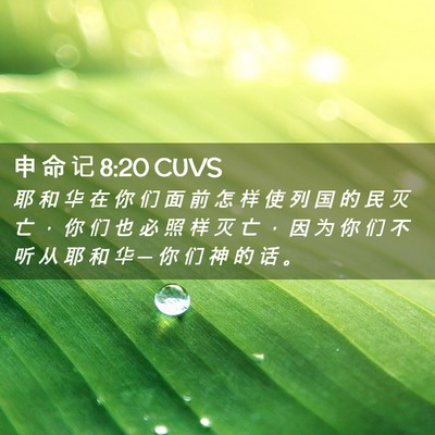 Picture 02 - 申 命 记 8:20 CUVS - 耶 和 华 在 你 们 面 前 怎 样 使 列 - Bible Verse Picture