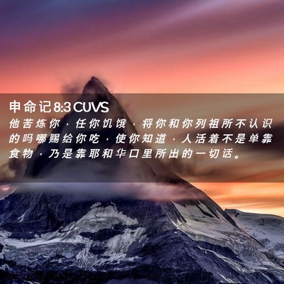 Picture 02 - 申 命 记 8:3 CUVS - 他 苦 炼 你 ， 任 你 饥 饿 ， 将 你 - Bible Verse Picture