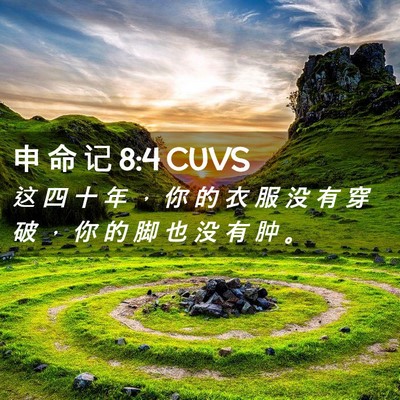 Picture 02 - 申 命 记 8:4 CUVS - 这 四 十 年 ， 你 的 衣 服 没 有 穿 - Bible Verse Picture
