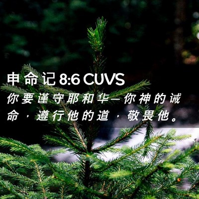 Picture 02 - 申 命 记 8:6 CUVS - 你 要 谨 守 耶 和 华 ─ 你 神 的 诫 - Bible Verse Picture