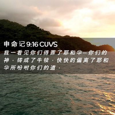 Picture 02 - 申 命 记 9:16 CUVS - 我 一 看 见 你 们 得 罪 了 耶 和 华 - Bible Verse Picture