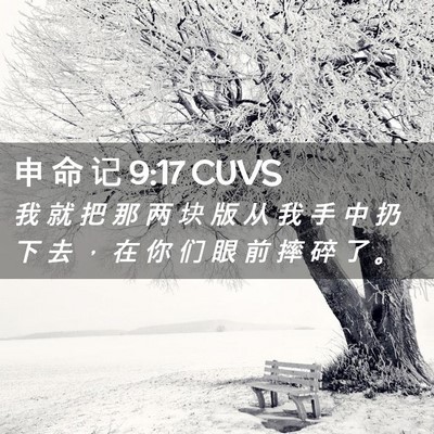 Picture 02 - 申 命 记 9:17 CUVS - 我 就 把 那 两 块 版 从 我 手 中 扔 - Bible Verse Picture