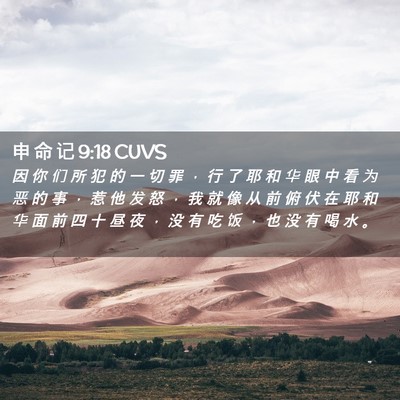 Picture 02 - 申 命 记 9:18 CUVS - 因 你 们 所 犯 的 一 切 罪 ， 行 了 - Bible Verse Picture