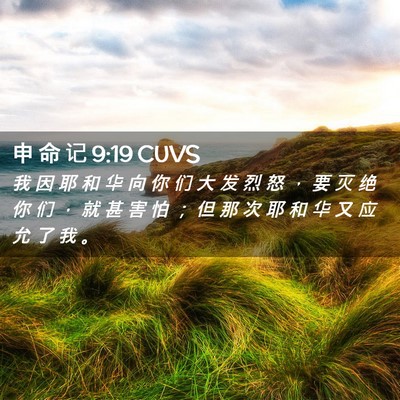 Picture 02 - 申 命 记 9:19 CUVS - 我 因 耶 和 华 向 你 们 大 发 烈 怒 - Bible Verse Picture