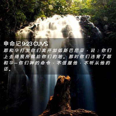 Picture 02 - 申 命 记 9:23 CUVS - 耶 和 华 打 发 你 们 离 开 加 低 斯 - Bible Verse Picture