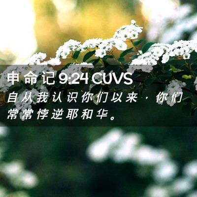 Picture 02 - 申 命 记 9:24 CUVS - 自 从 我 认 识 你 们 以 来 ， 你 们 - Bible Verse Picture