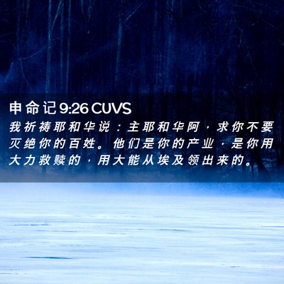 Picture 02 - 申 命 记 9:26 CUVS - 我 祈 祷 耶 和 华 说 ： 主 耶 和 华 - Bible Verse Picture