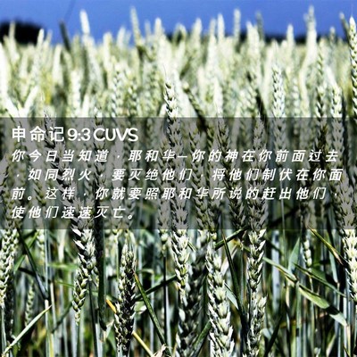 Picture 02 - 申 命 记 9:3 CUVS - 你 今 日 当 知 道 ， 耶 和 华 ─ 你 - Bible Verse Picture