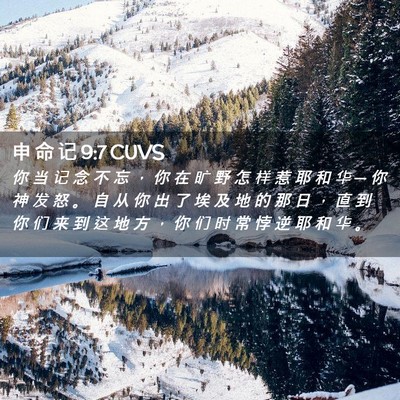 Picture 02 - 申 命 记 9:7 CUVS - 你 当 记 念 不 忘 ， 你 在 旷 野 怎 - Bible Verse Picture
