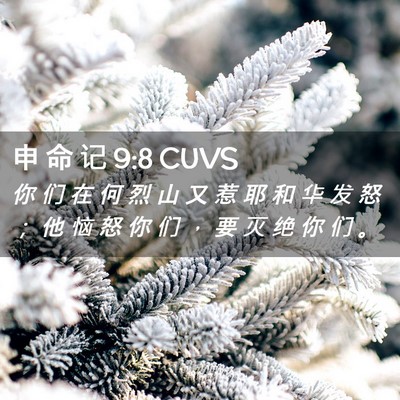 Picture 02 - 申 命 记 9:8 CUVS - 你 们 在 何 烈 山 又 惹 耶 和 华 发 - Bible Verse Picture