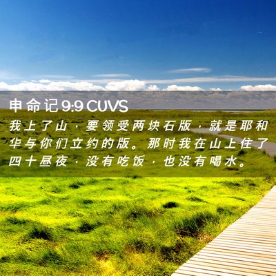 Picture 02 - 申 命 记 9:9 CUVS - 我 上 了 山 ， 要 领 受 两 块 石 版 - Bible Verse Picture