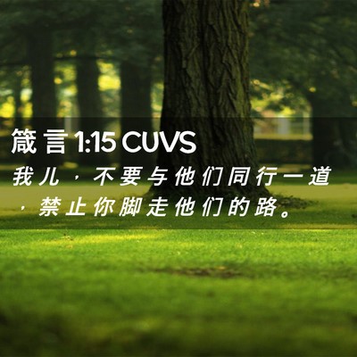 Picture 02 - 箴 言 1:15 CUVS - 我 儿 ， 不 要 与 他 们 同 行 一 道 - Bible Verse Picture