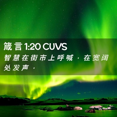 Picture 02 - 箴 言 1:20 CUVS - 智 慧 在 街 市 上 呼 喊 ， 在 宽 阔 - Bible Verse Picture
