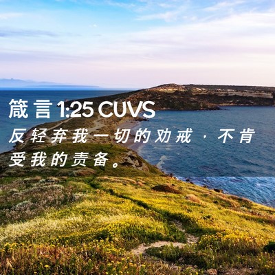 Picture 02 - 箴 言 1:25 CUVS - 反 轻 弃 我 一 切 的 劝 戒 ， 不 肯 - Bible Verse Picture